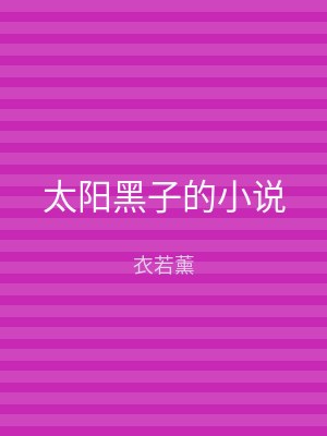 太阳黑子的小说