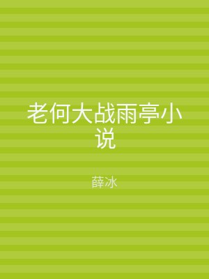 老何大战雨亭小说