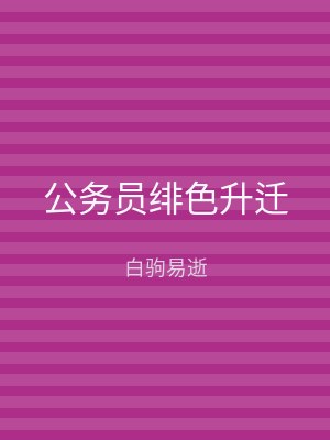 公务员绯色升迁