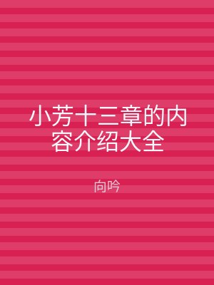 小芳十三章的内容介绍大全
