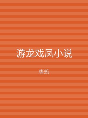游龙戏凤小说