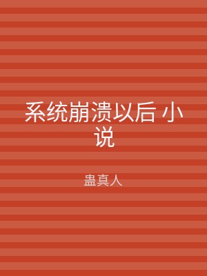 系统崩溃以后 小说
