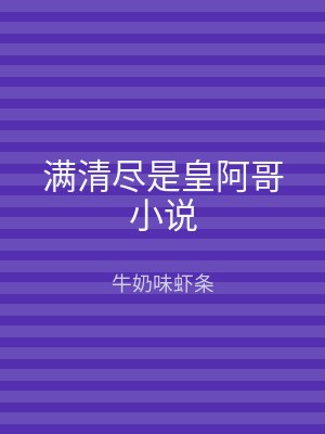 满清尽是皇阿哥小说
