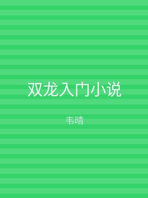 双龙入门小说