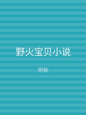野火宝贝小说