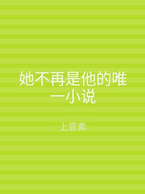 她不再是他的唯一小说