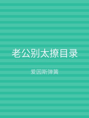 老公别太撩目录