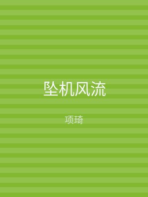 坠机风流