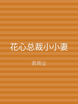 花心总裁小小妻
