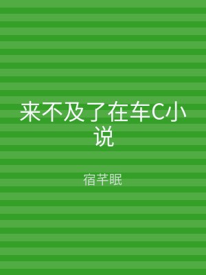来不及了在车C小说