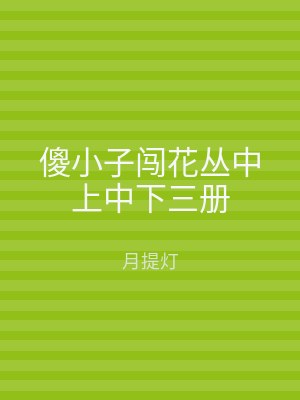 傻小子闯花丛中上中下三册