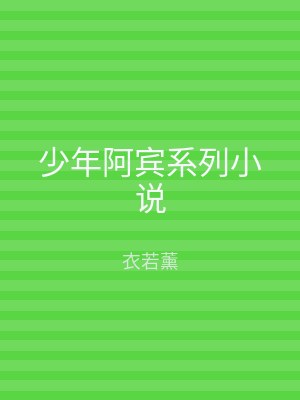 少年阿宾系列小说