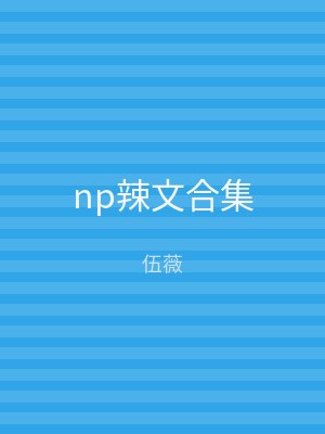 np辣文合集