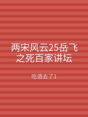 两宋风云25岳飞之死百家讲坛