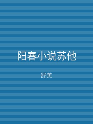 阳春小说苏他