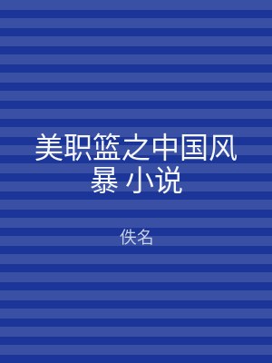 美职篮之中国风暴 小说