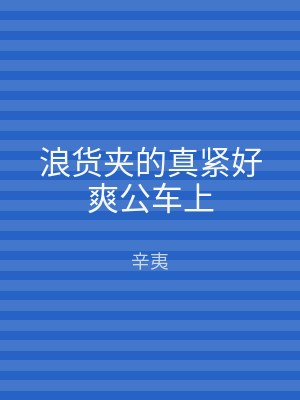 浪货夹的真紧好爽公车上
