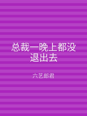 总裁一晚上都没退出去