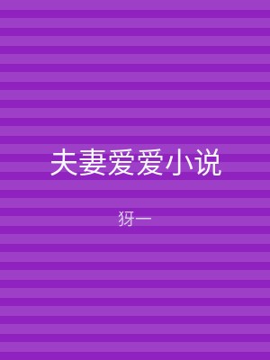 夫妻爱爱小说