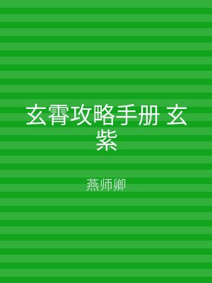 玄霄攻略手册 玄紫