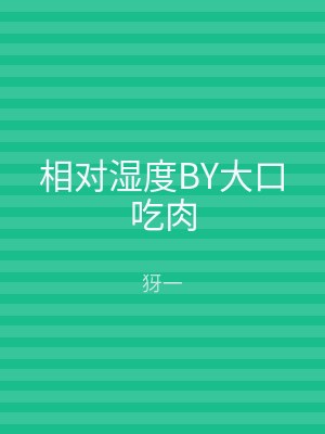 相对湿度BY大口吃肉