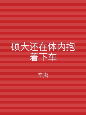 硕大还在体内抱着下车