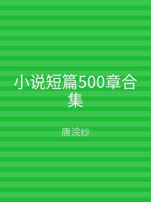 小说短篇500章合集