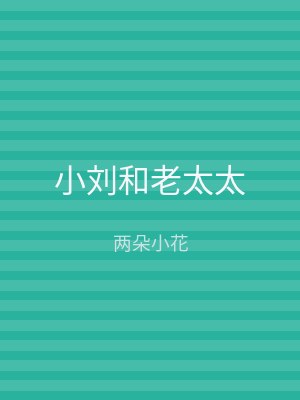 小刘和老太太