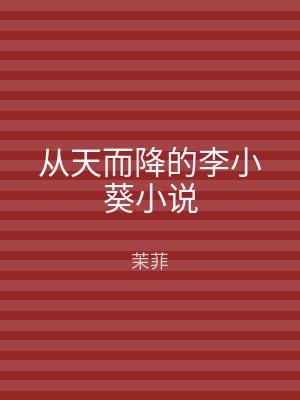 从天而降的李小葵小说