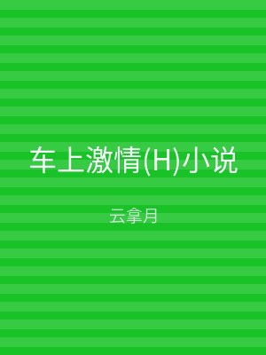 车上激情(H)小说