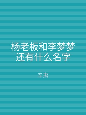杨老板和李梦梦还有什么名字