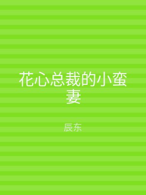 花心总裁的小蛮妻